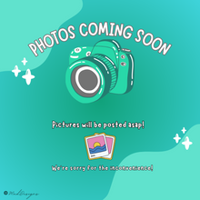 Load image into Gallery viewer, Rib Cage Earrings