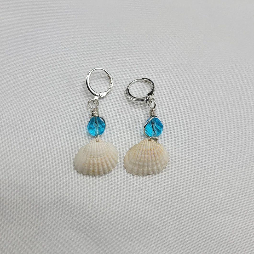 Seashell Huggie Earrings