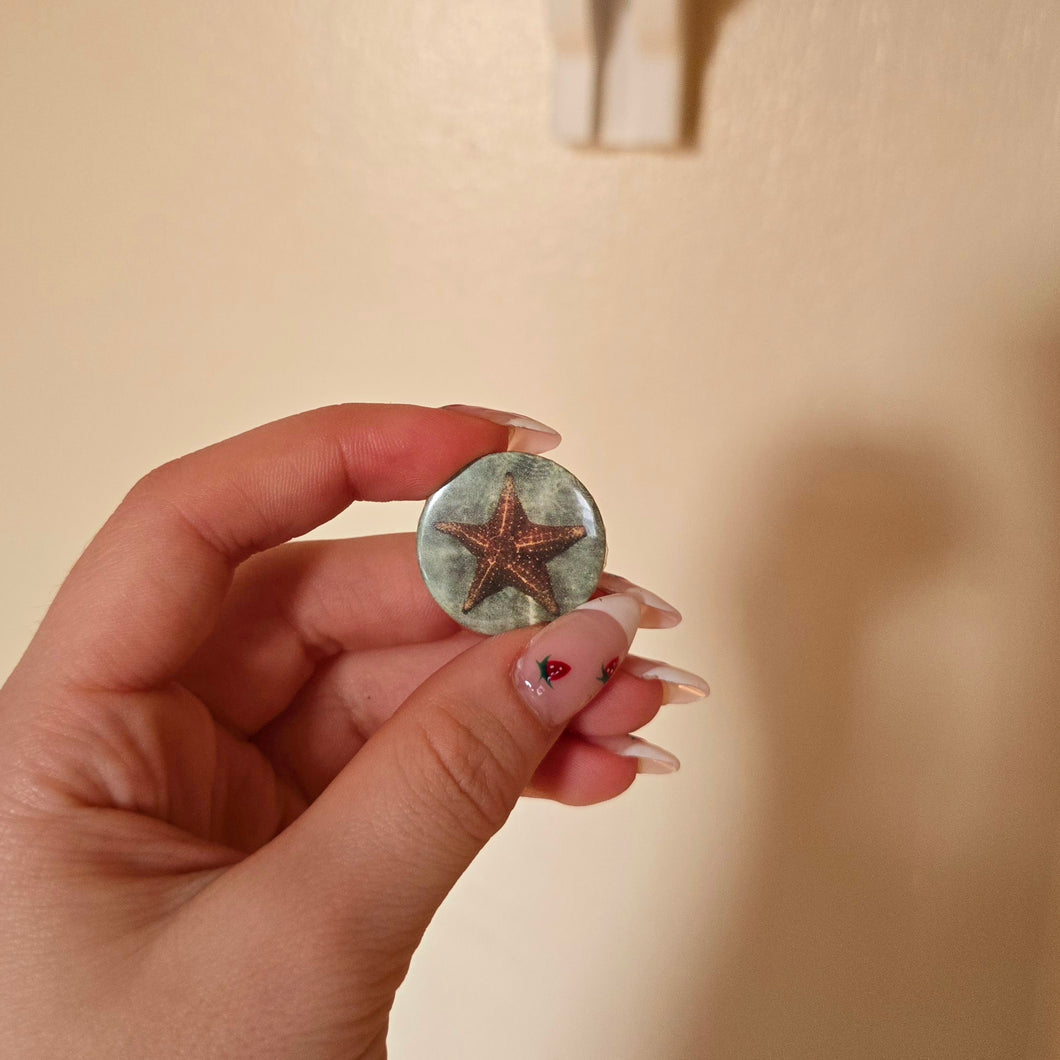 Starfish Button Pin