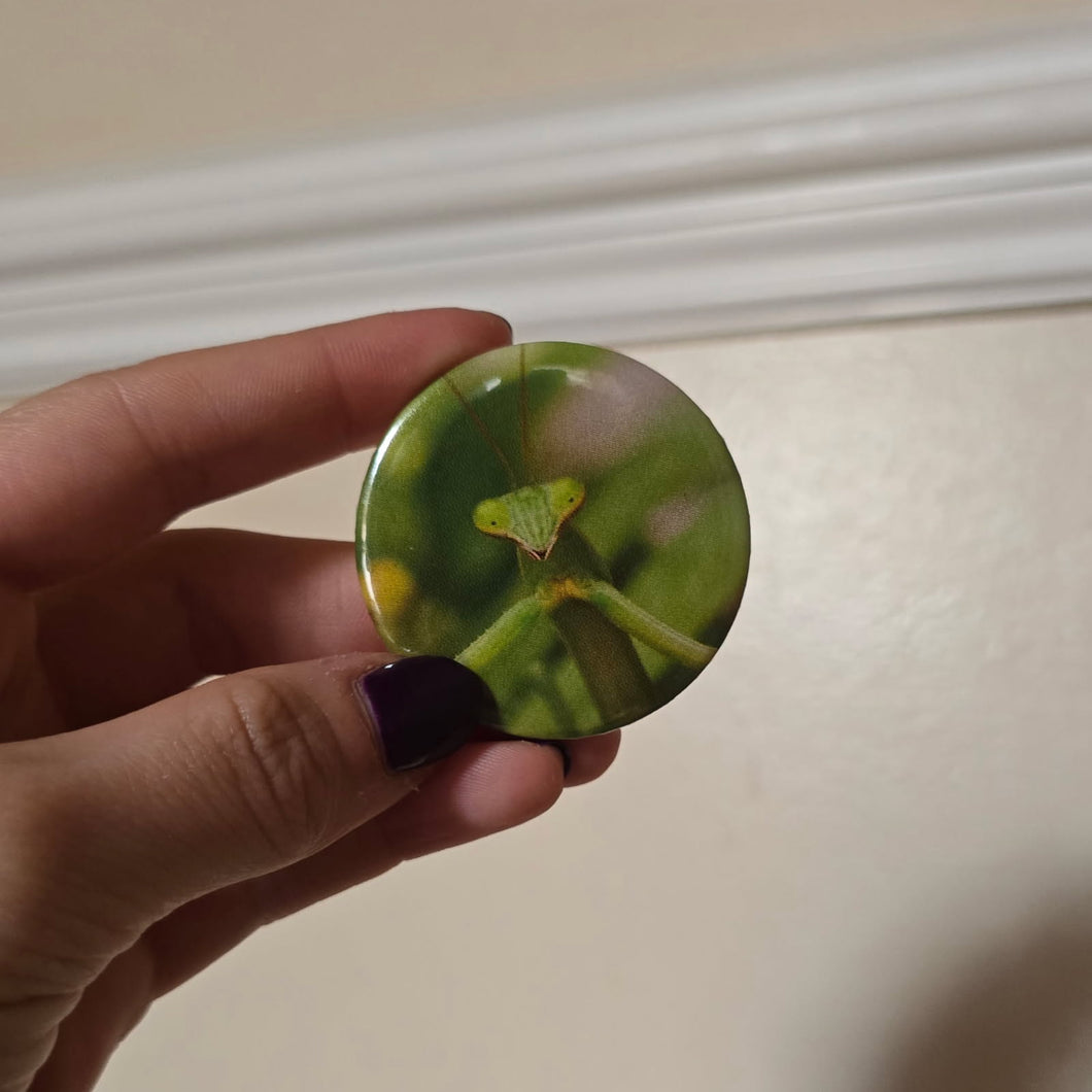 Mantis Button Pin