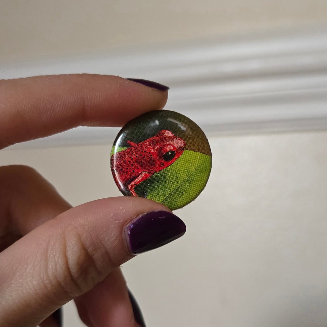 Frog Button Pin
