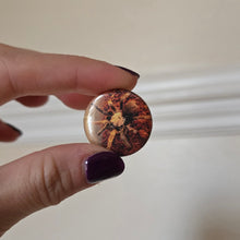 Load image into Gallery viewer, Spider Button Pin

