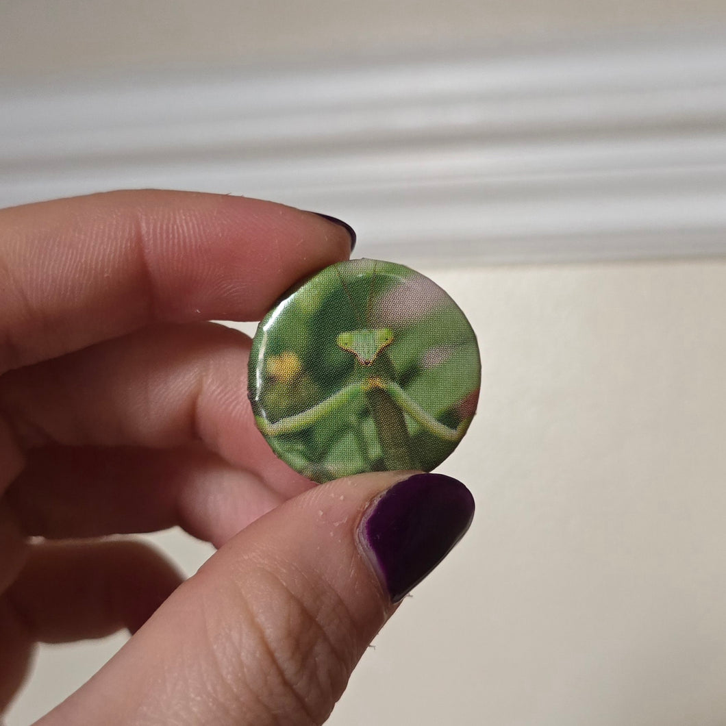 Mantis Button Pin