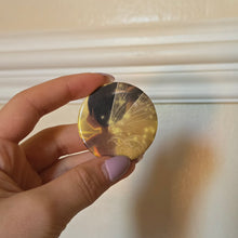 Load image into Gallery viewer, Wings Button Pin
